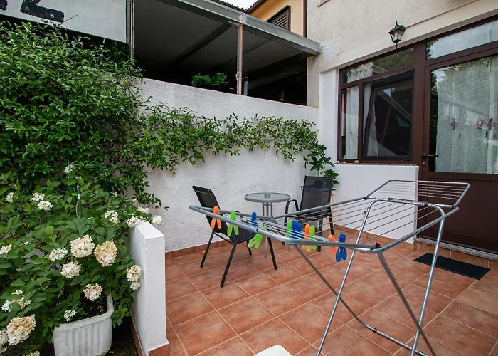 بيت ضيافة Svid روفينج